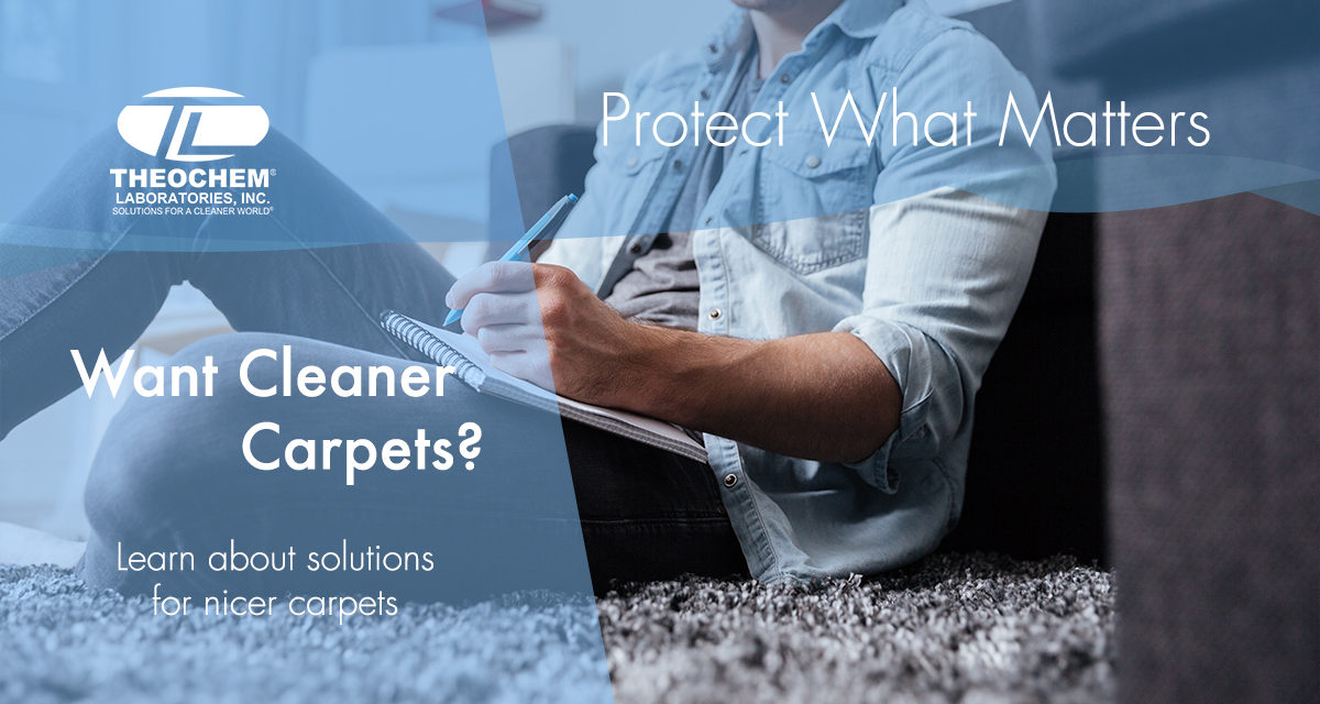 Have Dirty Carpets? We Have the Solution!