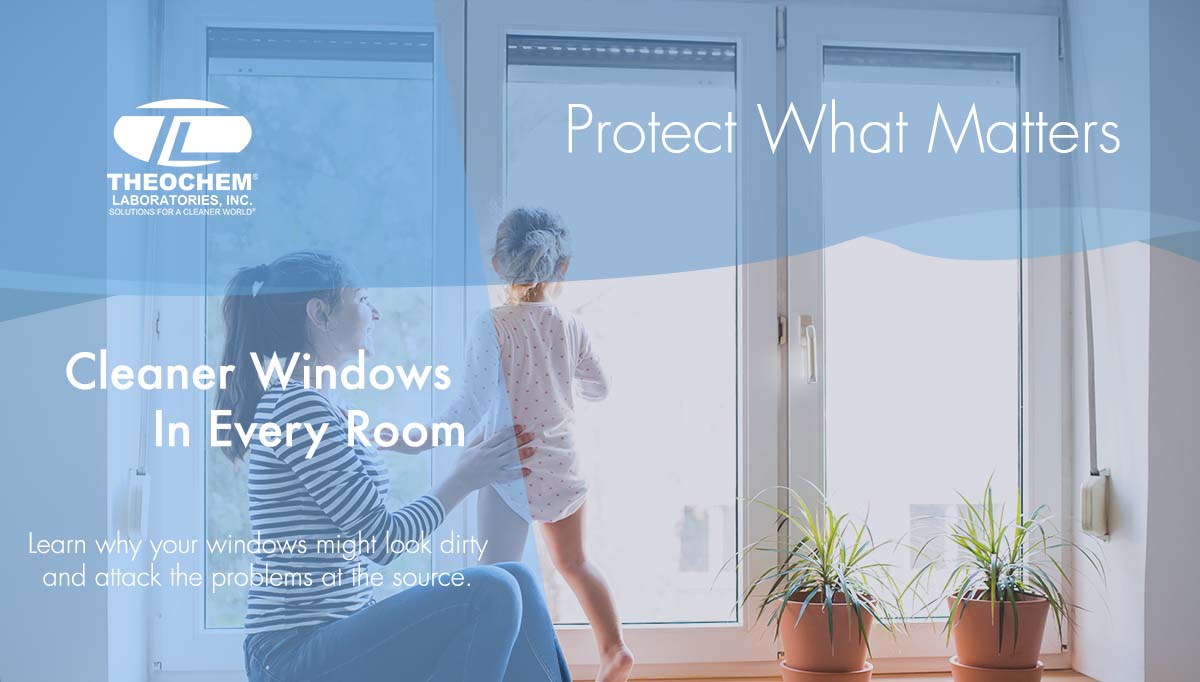 Cleaner Windows in Every Room